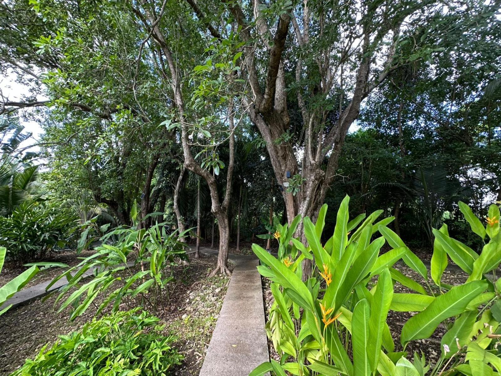 Gwada Reves Villa Sainte-Anne  Buitenkant foto