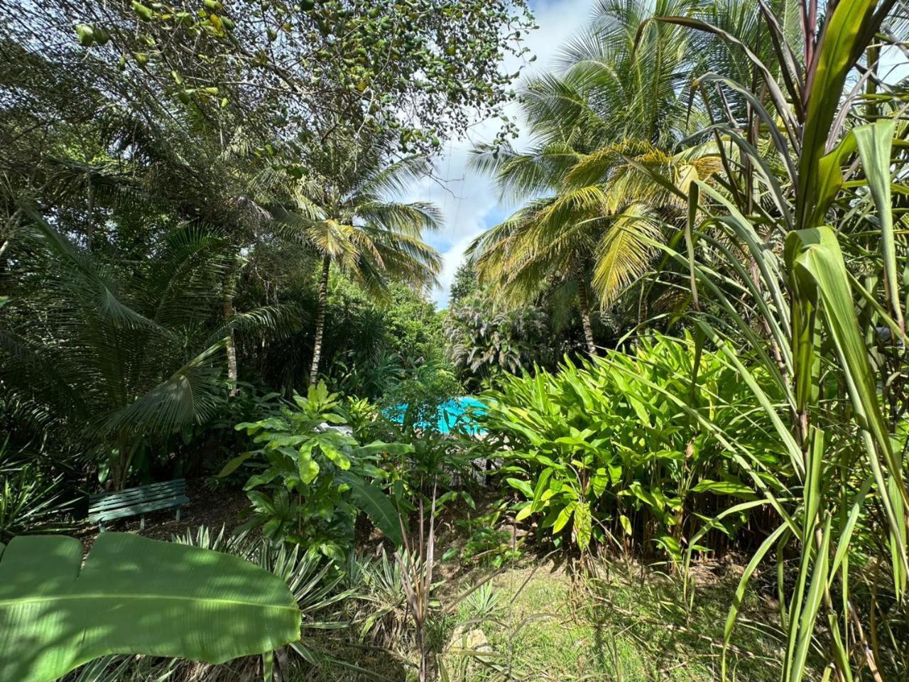 Gwada Reves Villa Sainte-Anne  Buitenkant foto