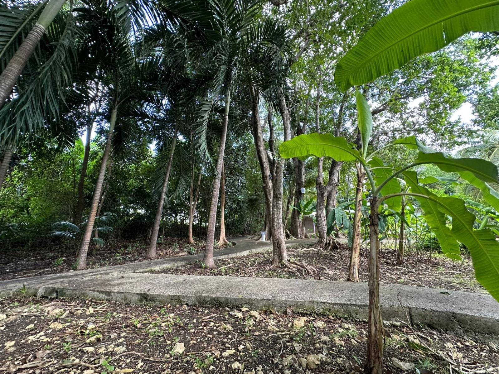 Gwada Reves Villa Sainte-Anne  Buitenkant foto
