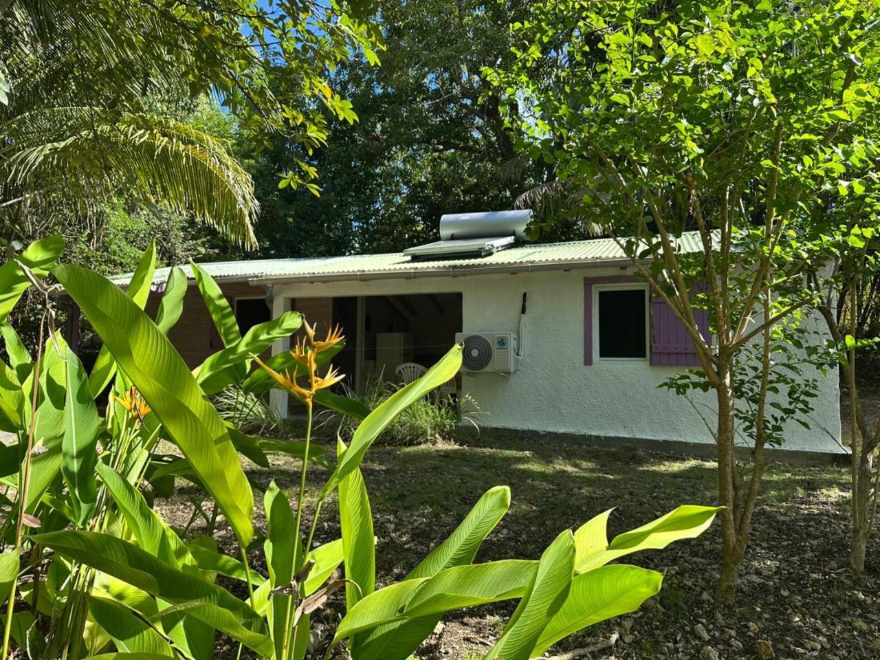 Gwada Reves Villa Sainte-Anne  Buitenkant foto