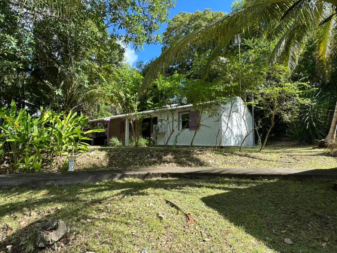 Gwada Reves Villa Sainte-Anne  Buitenkant foto